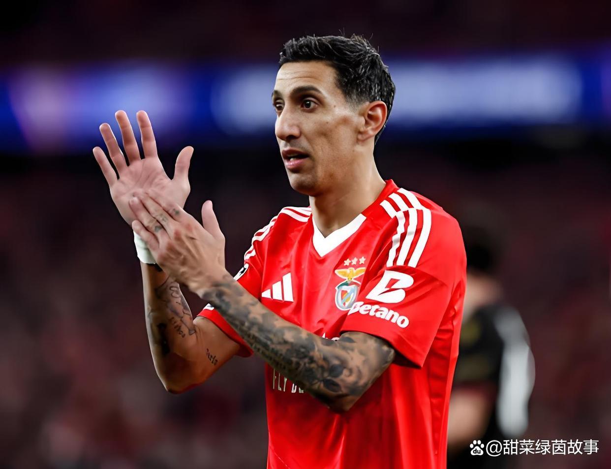 葡超国际比赛日走向成谜,里昂调整名单,目标明确,心理建设被强调(国足最新消息) 葡超国际比赛日走向成谜,里昂调整名单,目标明确,心理建设被强调(国足最新消息)